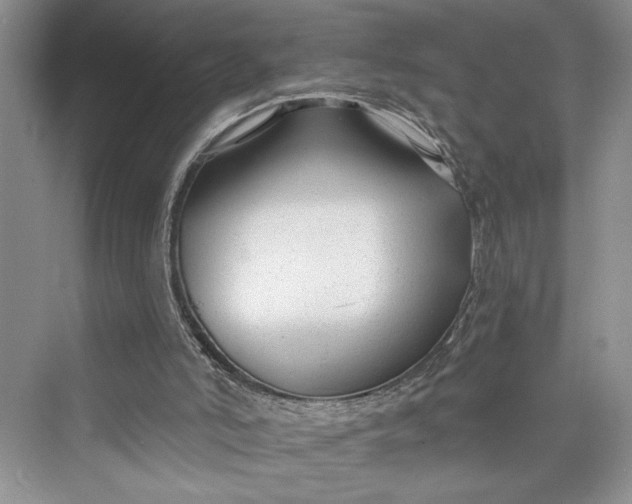 X0000075400006200609251030