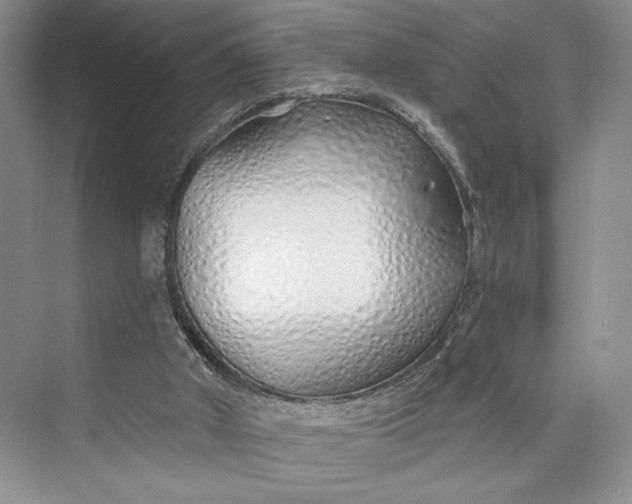 X0000075400010200609251030