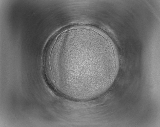 X0000075400012200609251030