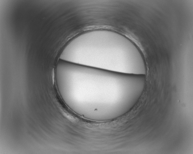 X0000075400013200609251030