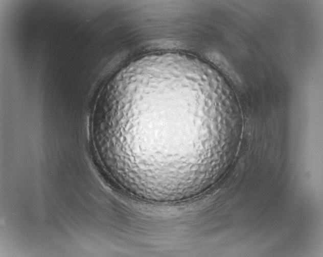 X0000075400014200609251030