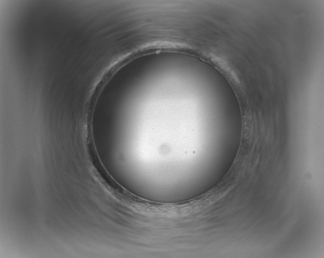 X0000075400015200609251030