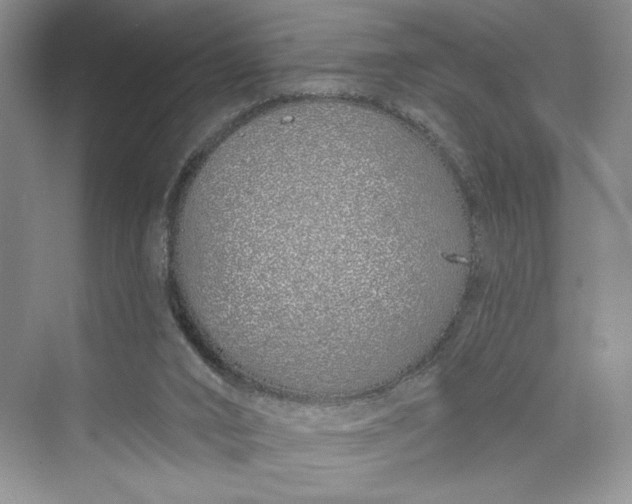 X0000075400016200609251030