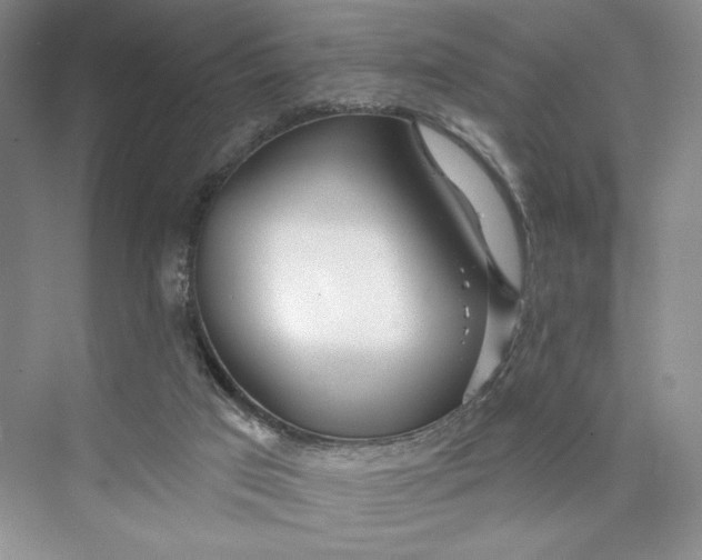 X0000075400017200609251030