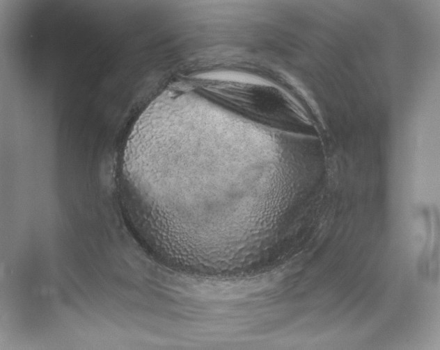 X0000075400018200609251030