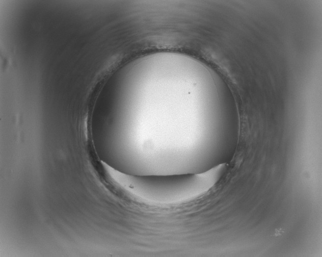 X0000075400019200609251030