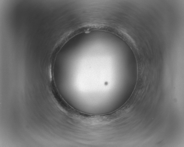 X0000075400020200609251030