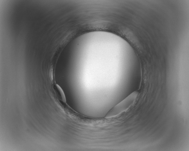 X0000075400021200609251030