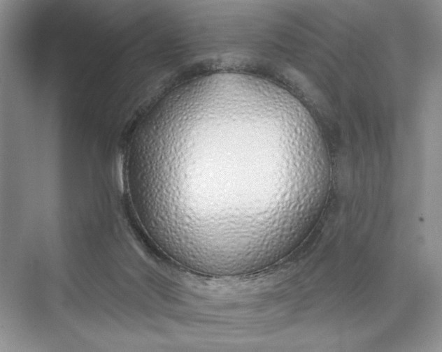 X0000075400022200609251030