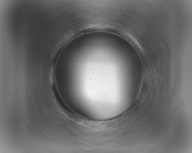 X0000075400023200609251030