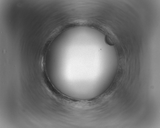 X0000075400024200609251030