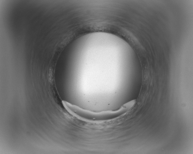 X0000075400025200609251030