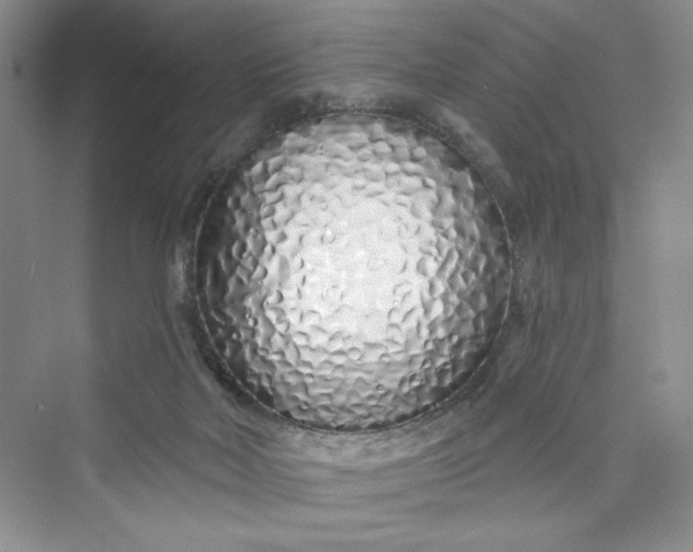 X0000075400026200609251030