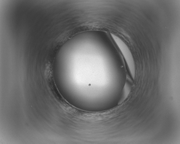 X0000075400029200609251030