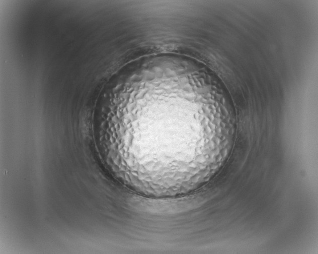 X0000075400030200609251030