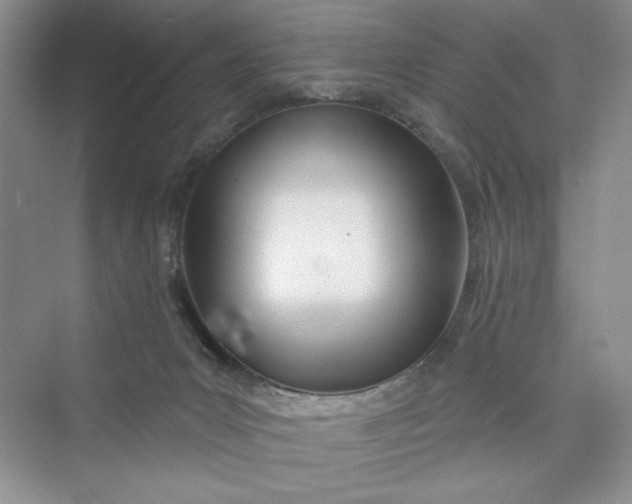 X0000075400031200609251030