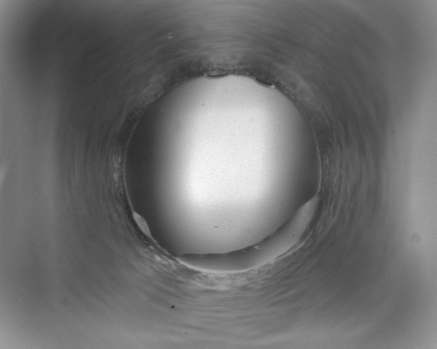 X0000075400033200609251030