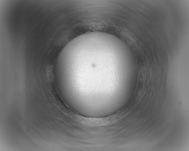 X0000075400034200609251030