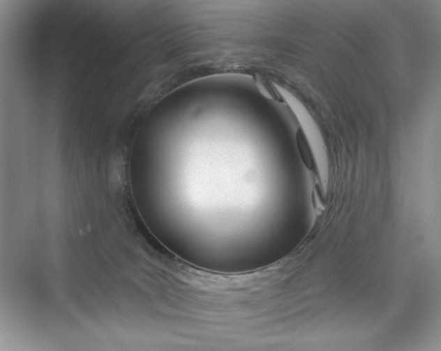 X0000075400035200609251030