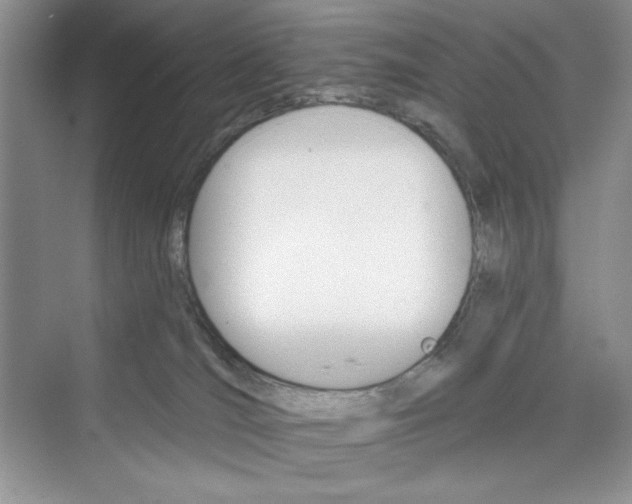 X0000075400036200609251030