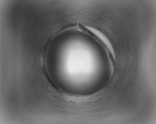 X0000075400039200609251030