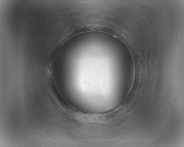 X0000075400040200609251030