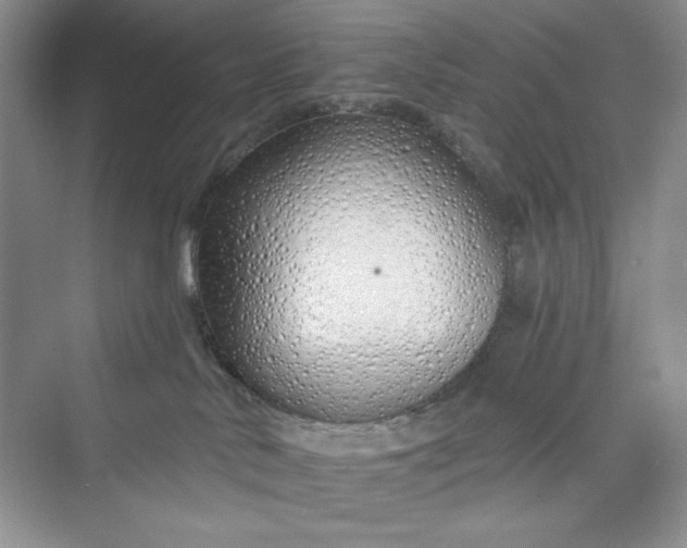 X0000075400042200609251030