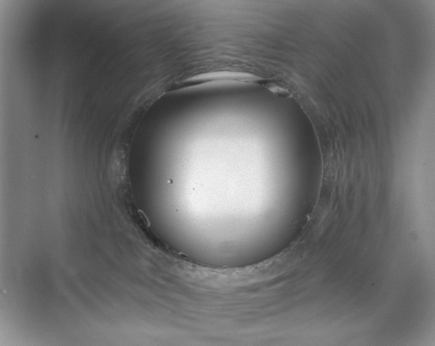 X0000075400043200609251030