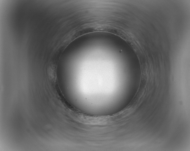 X0000075400044200609251030