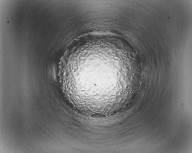 X0000075400046200609251030