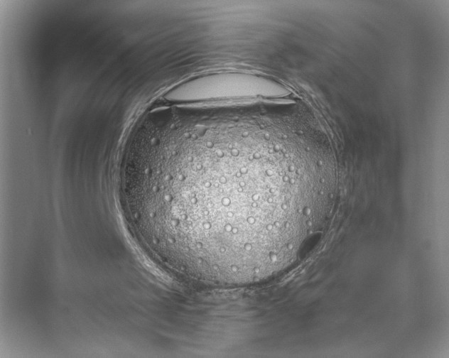 X0000075400049200609251029