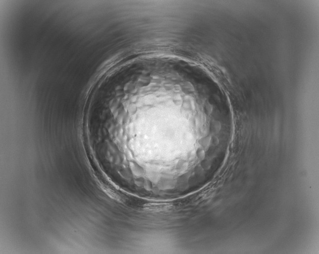 X0000075400051200609251029