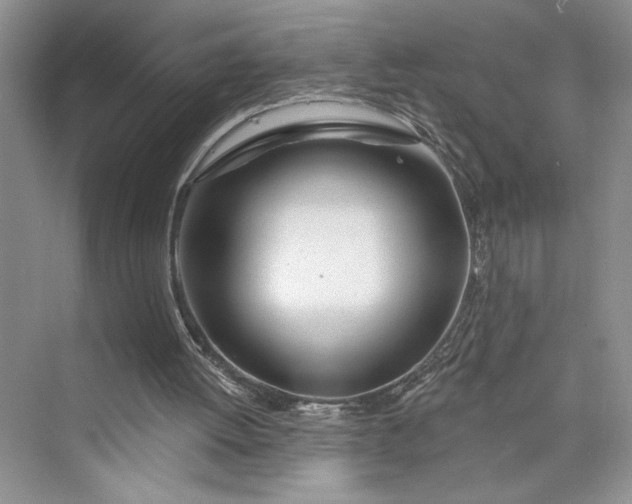 X0000075400052200609251029