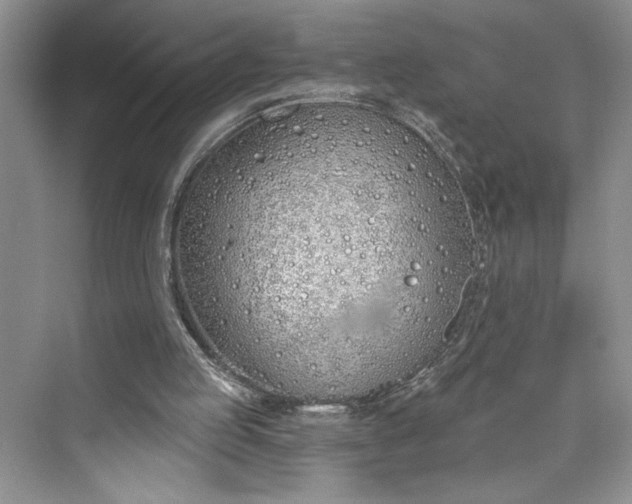 X0000075400053200609251029