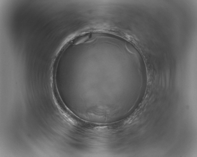 X0000075400054200609251029