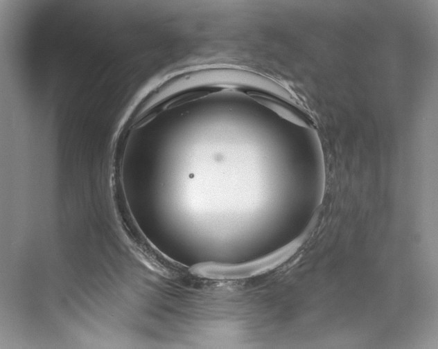 X0000075400056200609251029