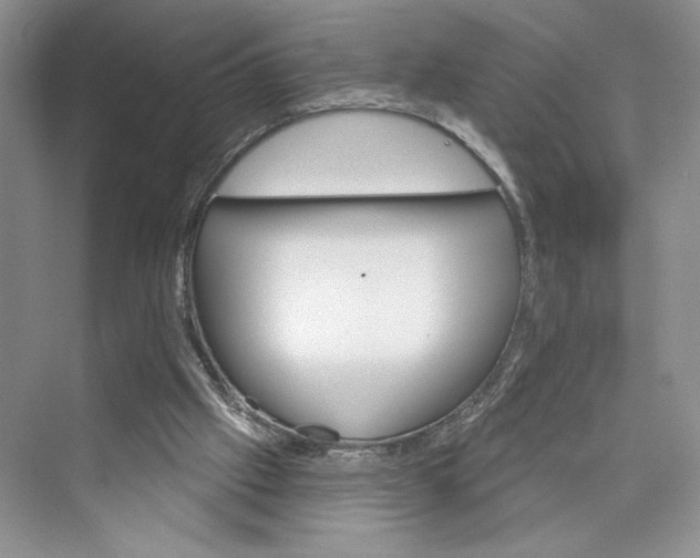 X0000075400057200609251029