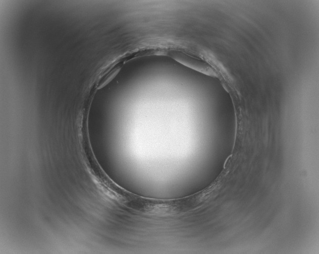 X0000075400058200609251029