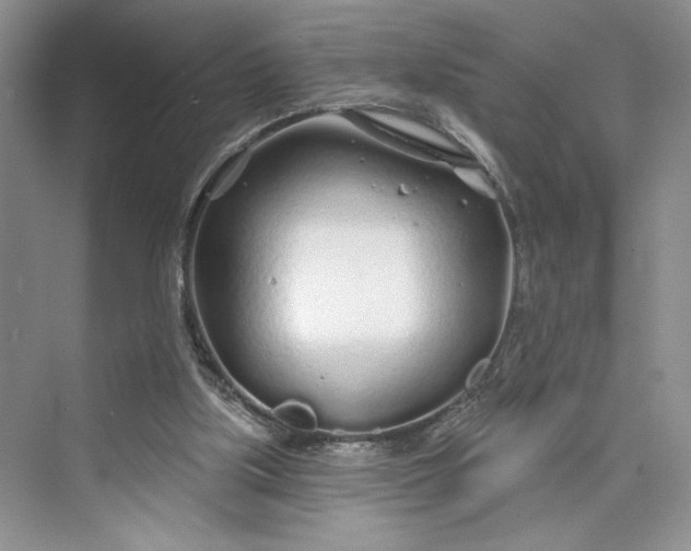 X0000075400059200609251029