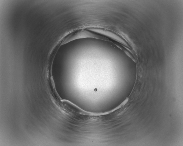 X0000075400060200609251029