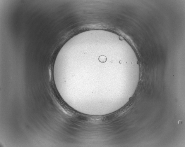 X0000075400061200609251029