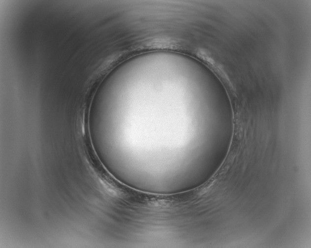 X0000075400062200609251029