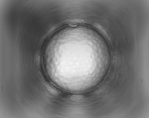 X0000075400063200609251029