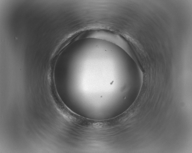 X0000075400064200609251029