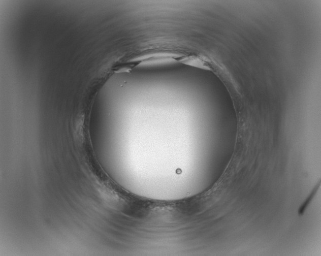 X0000075400066200609251029