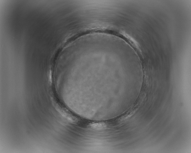 X0000075400067200609251029