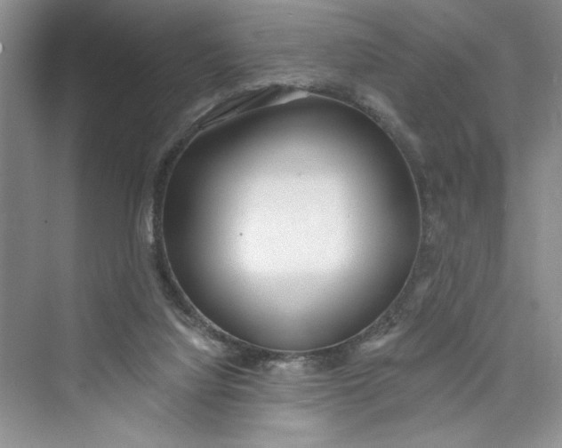 X0000075400068200609251029