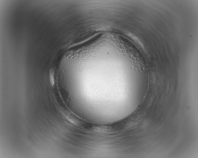 X0000075400069200609251029