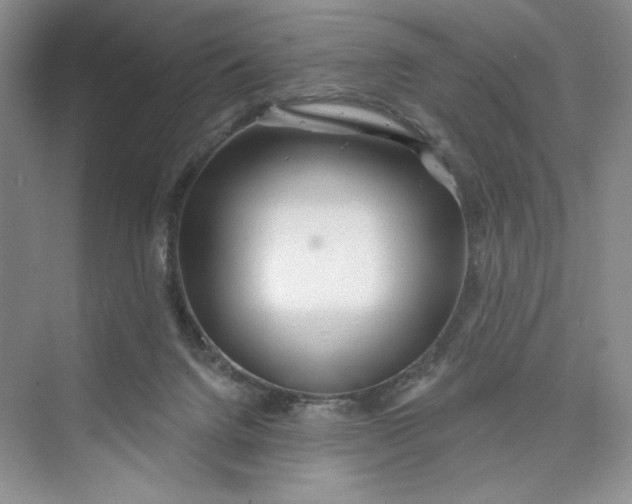 X0000075400072200609251029