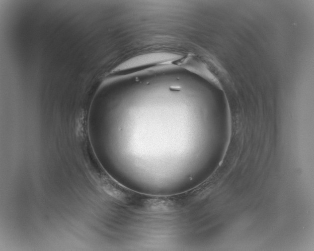 X0000075400073200609251029